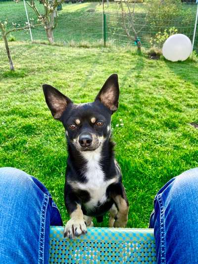 Dogorama Photo Challenge - Details Ganz nah-Beitrag-Bild