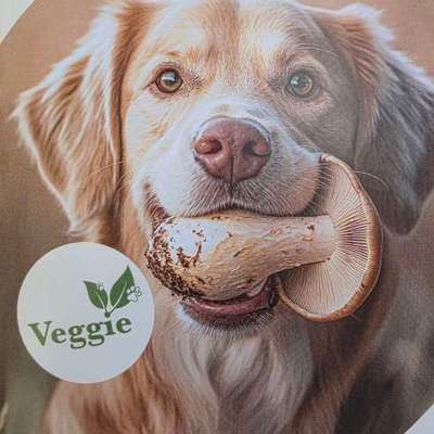 Hundefutter auf Basis von Pilzen?-Beitrag-Bild
