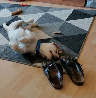 Die unbequemsten und lustigsten Schlafpositionen-Beitrag-Bild