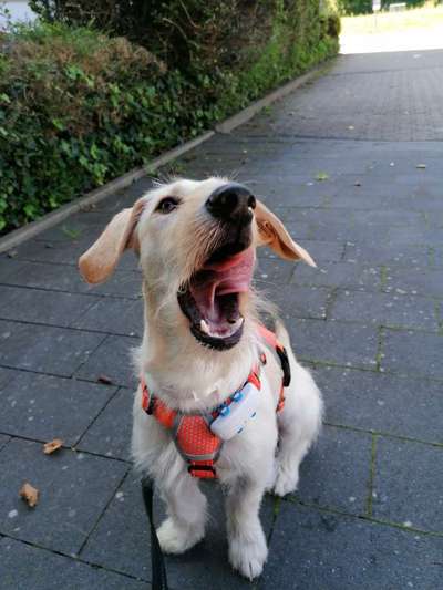 Fotochallange Nr. 46

Schattenspiele BEENDET!!!!!-Beitrag-Bild