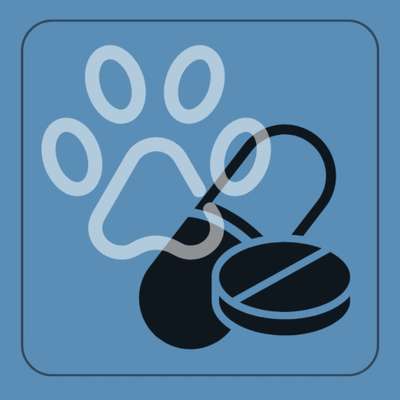 %{de_profession_title}-🐕👩‍⚕️Hundekrankenversicherung 👩‍⚕️🐕-Bild