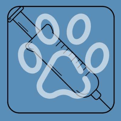 %{de_profession_title}-🐕🩺Hunde-Operationsversicherung🐕🩺-Bild