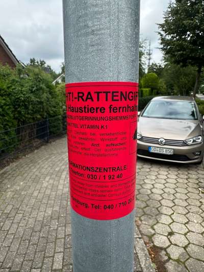 Giftköder-Rattengift-Bild