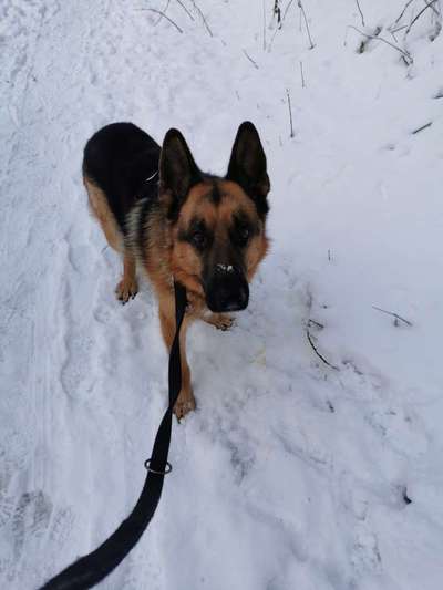 Fotochallenge No. 26                                     Wald und Wiese-Beitrag-Bild