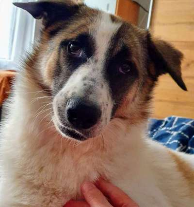 Fotochallange Nr. 57     PORTRÄT.   Beendet!!!!!!!!-Beitrag-Bild