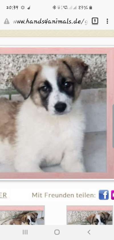 Foto Challenge 3-Beitrag-Bild