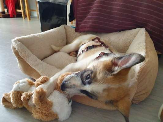 Foto Challenge 3-Beitrag-Bild