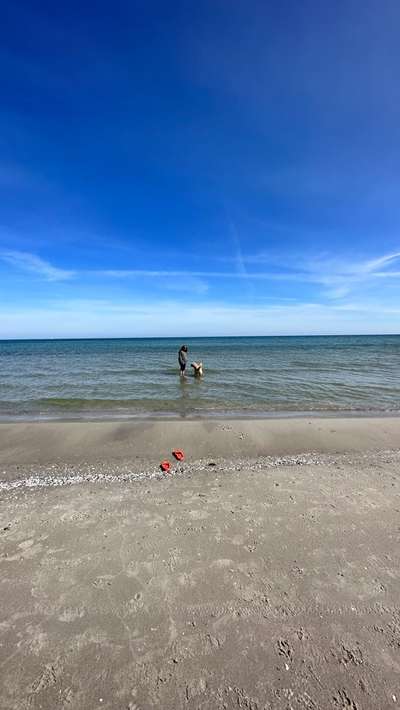 Schwimmen-Beitrag-Bild