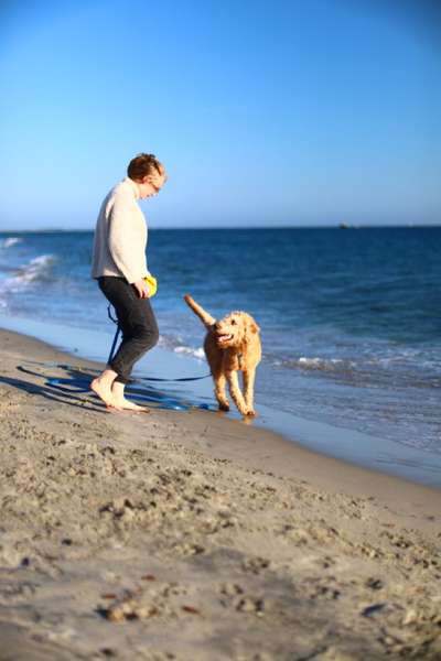 FOTO CHALLENGE 77 - Dein Hund im Spiel-Beitrag-Bild