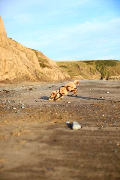 FOTO CHALLENGE Thema ,,durchdrehen"-Beitrag-Bild