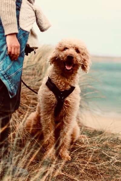 Zeigt eure Portraits-Beitrag-Bild