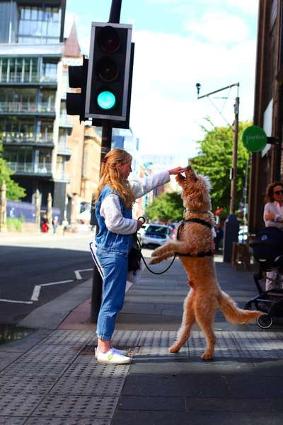 152. Foto Challenge: "Friss mir aus der Hand"-Beitrag-Bild