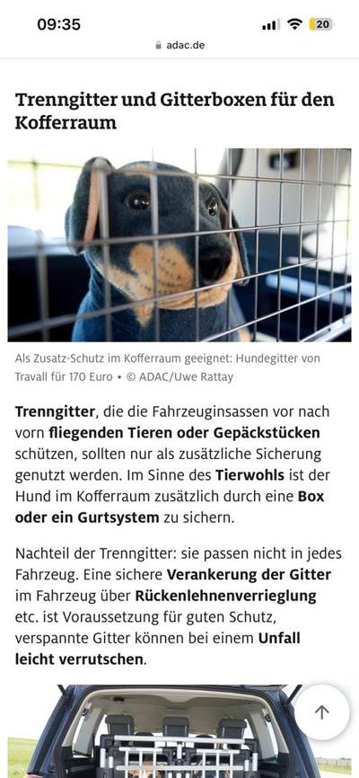 Tipps, Tricks, Klatsch und Tratsch über den Labrador-Beitrag-Bild
