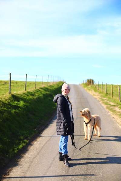 Mischlinge raten - Rätselspaß-Beitrag-Bild