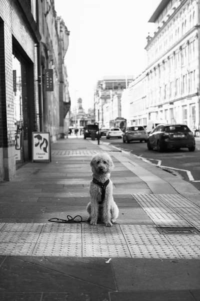 3. Farben/Fotochallenge: Schwarz/Weiß-Beitrag-Bild