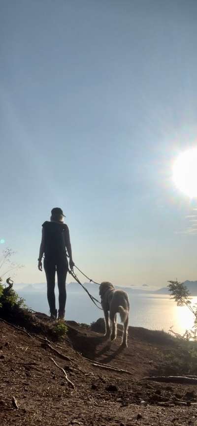 57. Handy Foto Challenge - klettern-Beitrag-Bild