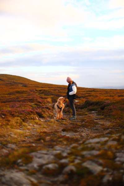 Austausch zur Fotografie-Beitrag-Bild