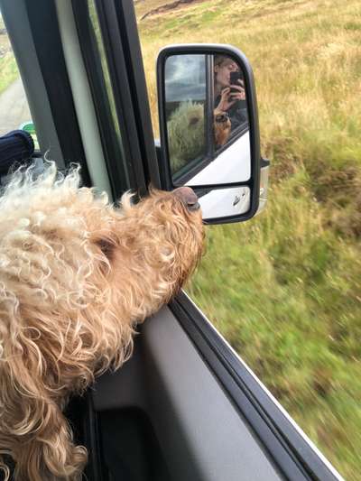 Fotochallenge 101:
On Tour-Beitrag-Bild