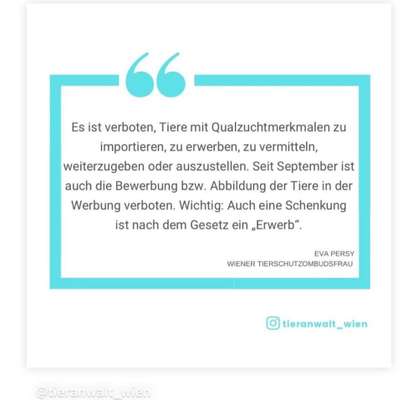 Qualzucht - Warum Aufklärung alleine nicht reicht-Beitrag-Bild