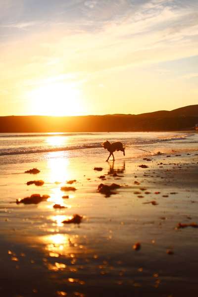 Urlaub in Schottland-Beitrag-Bild