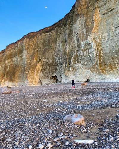 Urlaub mit Hund - Hat jemand Empfehlungen?-Beitrag-Bild