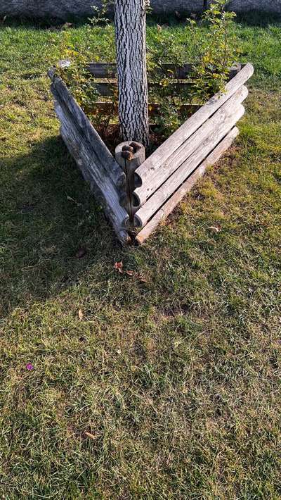 Wessen Hunde machen gerne in Büsche-Beitrag-Bild