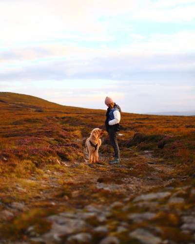 Urlaub in Schottland-Beitrag-Bild