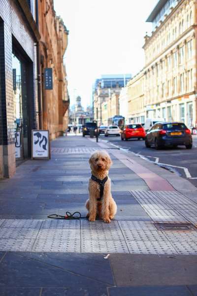 Austausch zur Fotografie-Beitrag-Bild