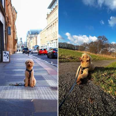 30. Collagen Challenge - Wege/Straßen-Beitrag-Bild