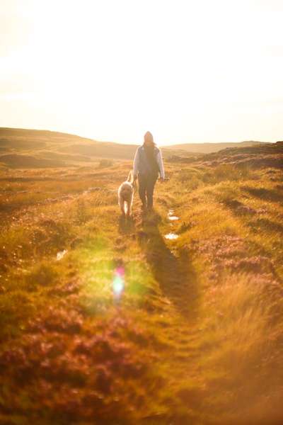 Austausch zur Fotografie-Beitrag-Bild
