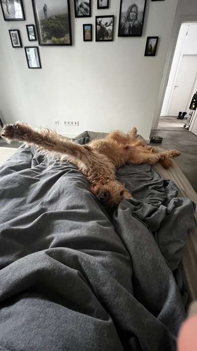 Verrückte Schlafpositionen-Beitrag-Bild