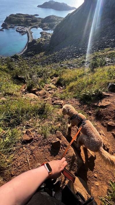 57. Handy Foto Challenge - klettern-Beitrag-Bild