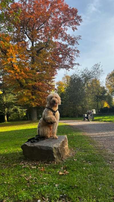 Herbst Bilder-Beitrag-Bild