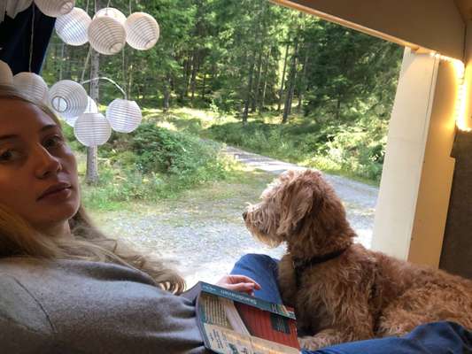 Dogorama Photo Challenge - Selfie Time!-Beitrag-Bild