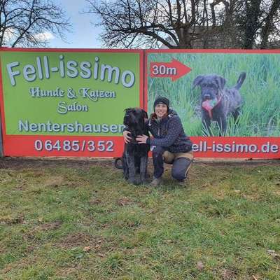 Hundefriseure-Fell-issimo Hunde - & Katzensalon-Bild