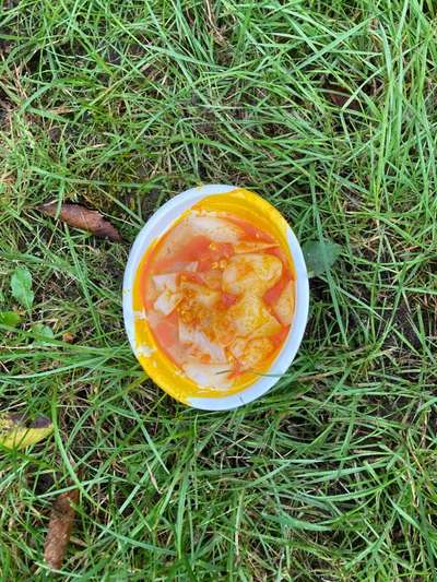 Giftköder-Vergiftete Suppen im Park!!!-Bild