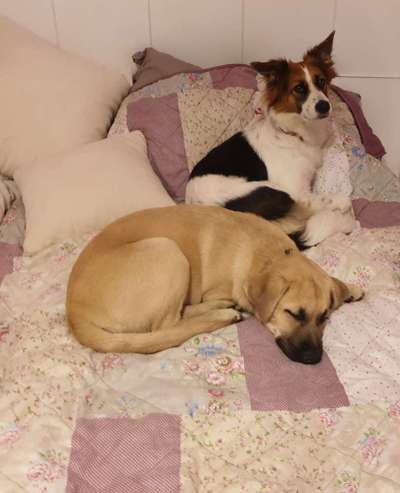 Ins Bett ja oder nein-Beitrag-Bild