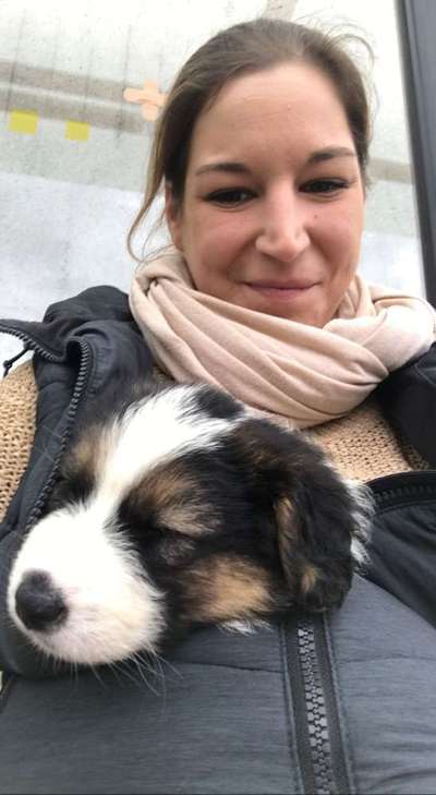 Das erste Foto-Beitrag-Bild