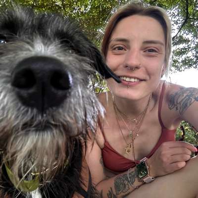 Hundetreffen-Sozial-Walks