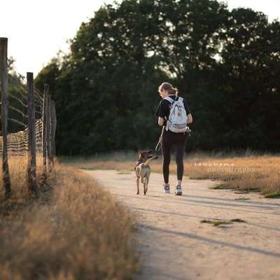 Hundetreffen-Begegnungstraining-Bild