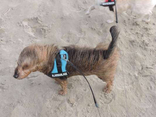 Moviestar-Pics!-Beitrag-Bild