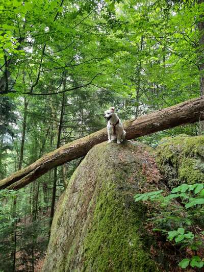 Moviestar-Pics!-Beitrag-Bild