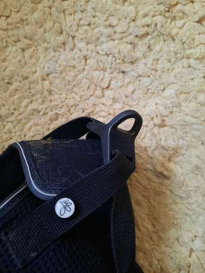 Curli Geschirr-Beitrag-Bild