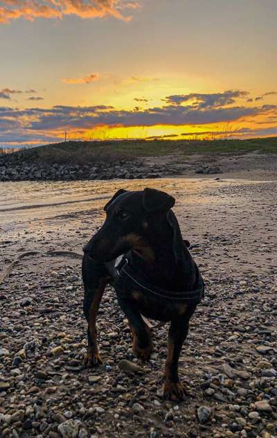 Eure Strandbilder :)-Beitrag-Bild