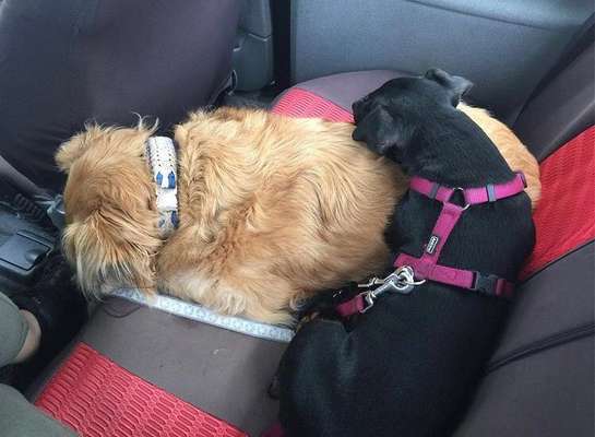 CHALLENGE NR. 18 - ON TOUR-Beitrag-Bild