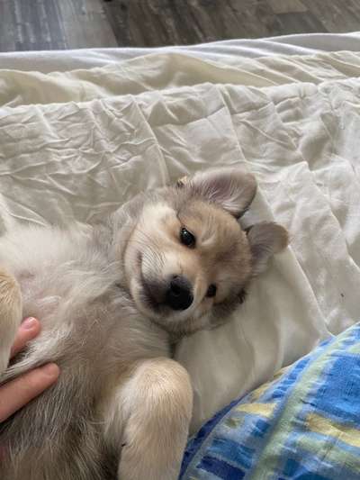 Fotochallenge Nr. 67: Euer Lieblingsbild-Beitrag-Bild