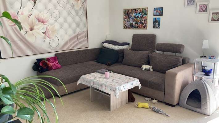 Der richtige Platz für das Körbchen-Beitrag-Bild