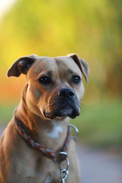 Lieblingsbild-Beitrag-Bild