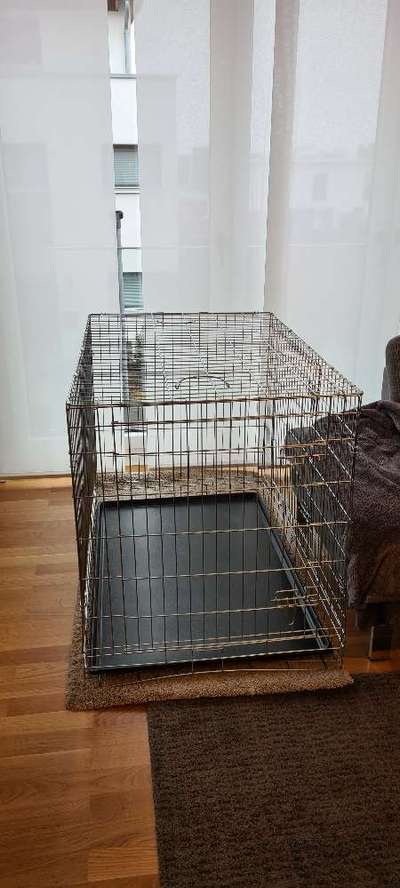 Trixie Friends on Tour Home Kennel-Beitrag-Bild