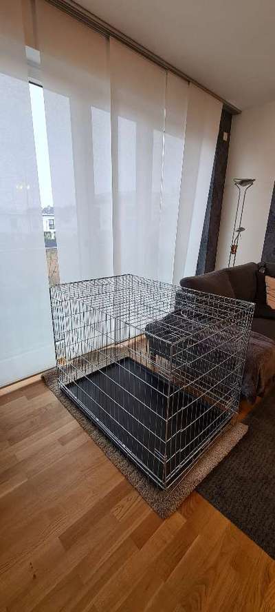 Trixie Friends on Tour Home Kennel-Beitrag-Bild